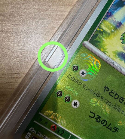 Pokemon CardIVYSAUR (MASTER BALL MIRROR)U(002/165) (SV2a) Japanese Fandom Tokyo Pokemon CardIVYSAUR (MASTER BALL MIRROR)U(002/165) (SV2a) Japanese Fandom Tokyo